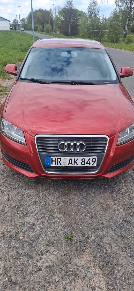 Audi A3 2009 — rear view