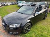 Audi AUDI - A3 Cabrio - 1.6 TDI Sline - NEOPATENTATI  - Audi A3: Cabrio, 1.6