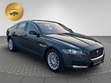 Jaguar XF Pure - Jaguar XF mit Panoramadach