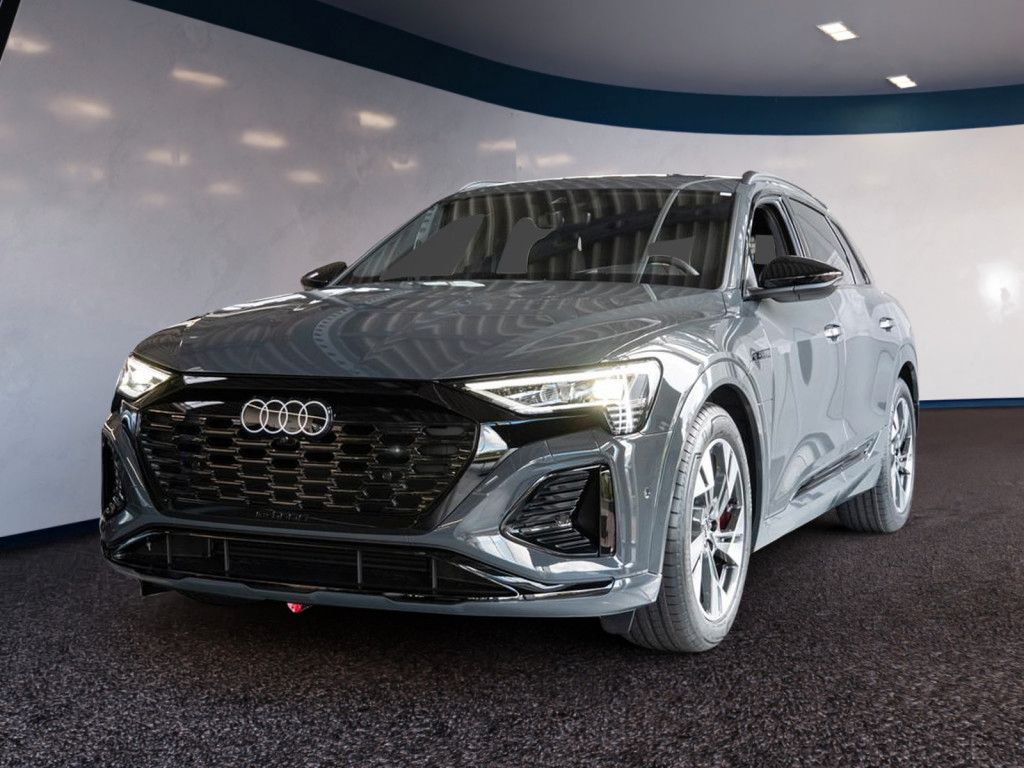 Audi Q8 S line 50 e-tron quattro STANDHZ. LUFTF. ACC foto 2