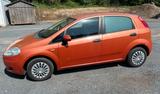 Fiat Punto 199, TÜV neu bis 05/2028, Anfän... - Fiat Punto: 199