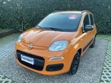 Fiat FIAT Panda 1.2 Easy s&s 69cv my19 - Fiat Panda Cabrio Gebrauchtwagen