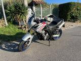 Aprilia Pegaso 650 - Angebote