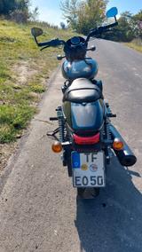 Harley-Davidson Street750 - HARLEY-DAVIDSON STREET 750