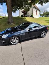 Mercedes-Benz SLK 250 CDI Autom. - - Mercedes-Benz SLK 250: Cdi
