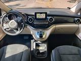 Mercedes-Benz Marco Polo V 250 d Edition (Küche) 8 Räder - München