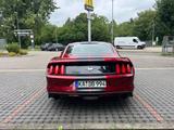 Ford Mustang 2.3 EcoBoost Fastback  - Ford Mustang: For