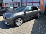 Citroën C4 Cactus Shine/Kamera/Navi/AHK/Zahnriemen/NEU/ - gebrauchte Citroën C4 Cactus aus dem Jahr 2020