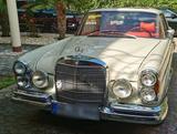 Mercedes-Benz 250 - gebrauchte Mercedes-Benz 250 aus dem Jahr 1967