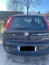 Fiat Punto 1.4 8V Start Start - Fiat Punto Star mit Benzin-Antrieb