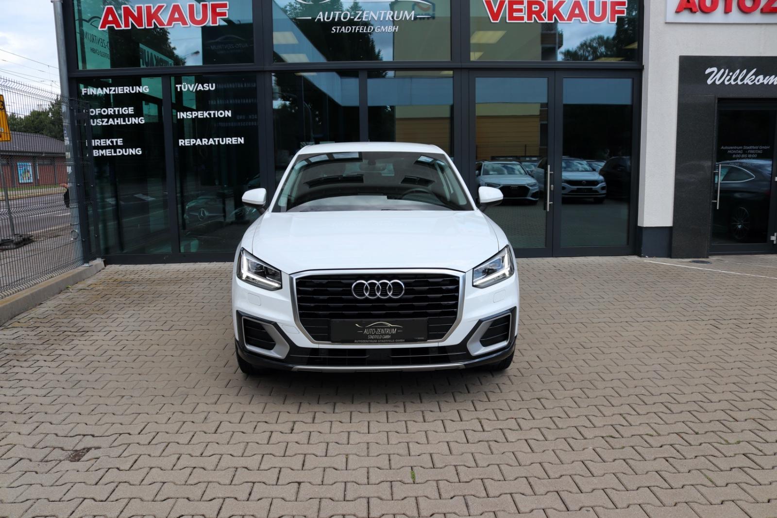 Audi Q2 35 TFSI design Navi SHZ Leder Klima LED