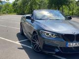 BMW 2er M240i F23 B58 Cabrio Mineralgrau ohne OPF - BMW: E24