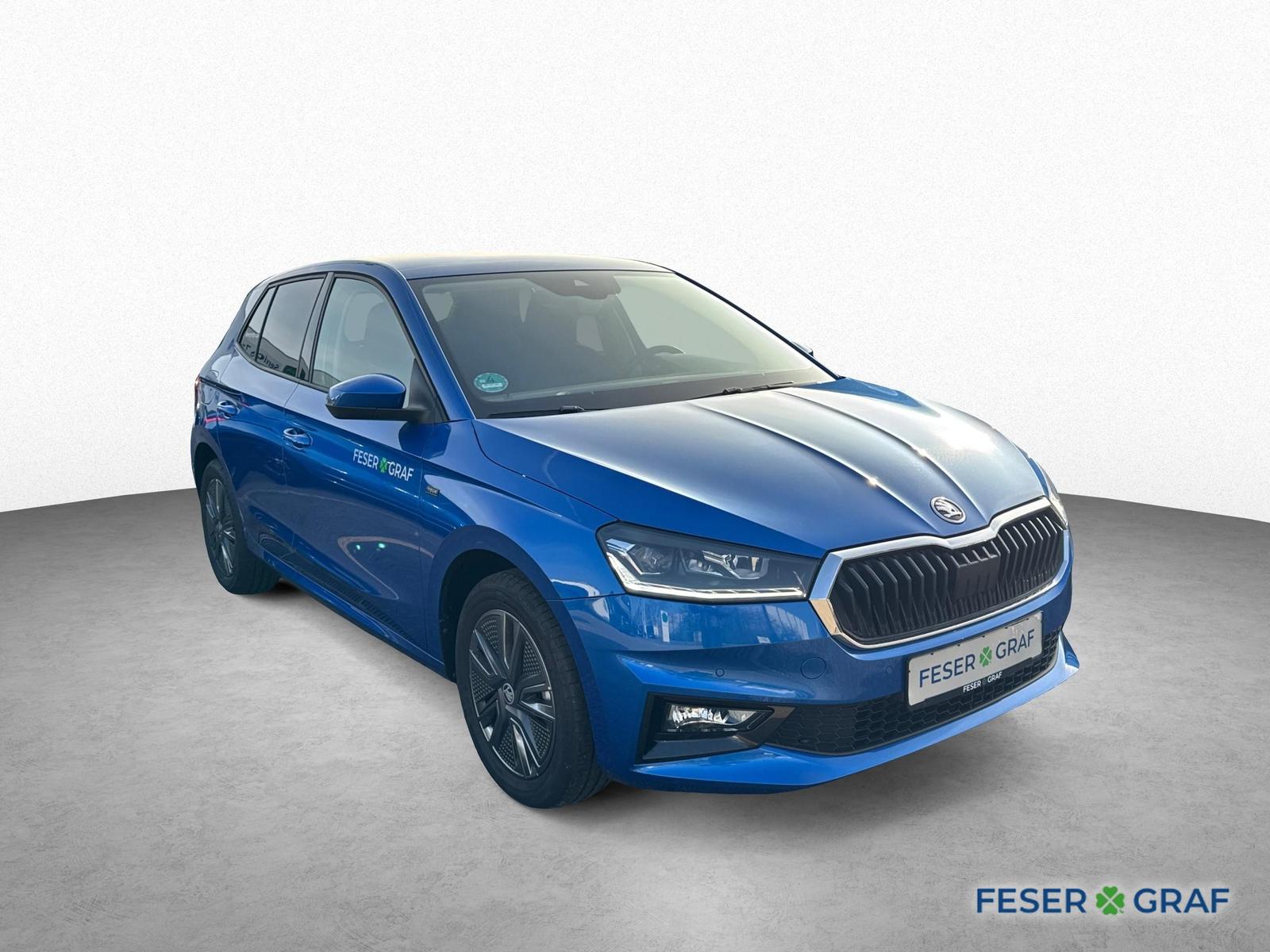 Skoda Fabia Tour 1.0TSI TOUR*Winterpaket*ALU*SmartLink