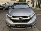 Honda CR-V 1.5 T 4WD Executive Panorama HUD  "19  1.HD - Honda Gebrauchtwagen mit Automatikschaltung