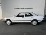 Mercedes-Benz 190 Lim  D 2.5 1.Hand 45.000km Einzelstück !!! - Mercedes-Benz aus 1986 mit Diesel-Antrieb