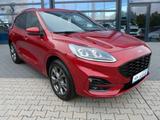 Ford Kuga PHEV  ST-Line X *iACC*B&O*2xKamera* - Ford Kuga SUV