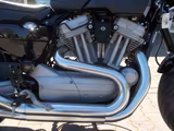 Harley-Davidson XR 1200 - gebrauchte Motorräder in Hamm