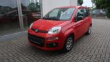 Fiat Panda Easy Klima - Fiat Panda Gebrauchtwagen in Berlin