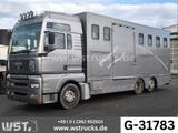 MAN TGA 26.480 FG   6x2 Pferdetransporter Luft/Luft - MAN Tga 26 480