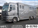 MAN TGA 26.480 FG 6x2 Pferdetransporter Luft/Luft - Offers matching your search criteria