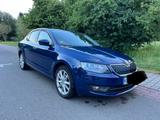 Skoda Octavia 1.2 TSI DSG Green tec Lim. Elegance  - Skoda Gebrauchtwagen in Kaiserslautern