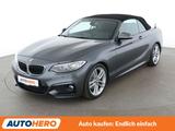 BMW 2er 220i M Sport Aut.*XENON*NAVI*TEMPO*PDC*SHZ* - : Cabrio, Sport