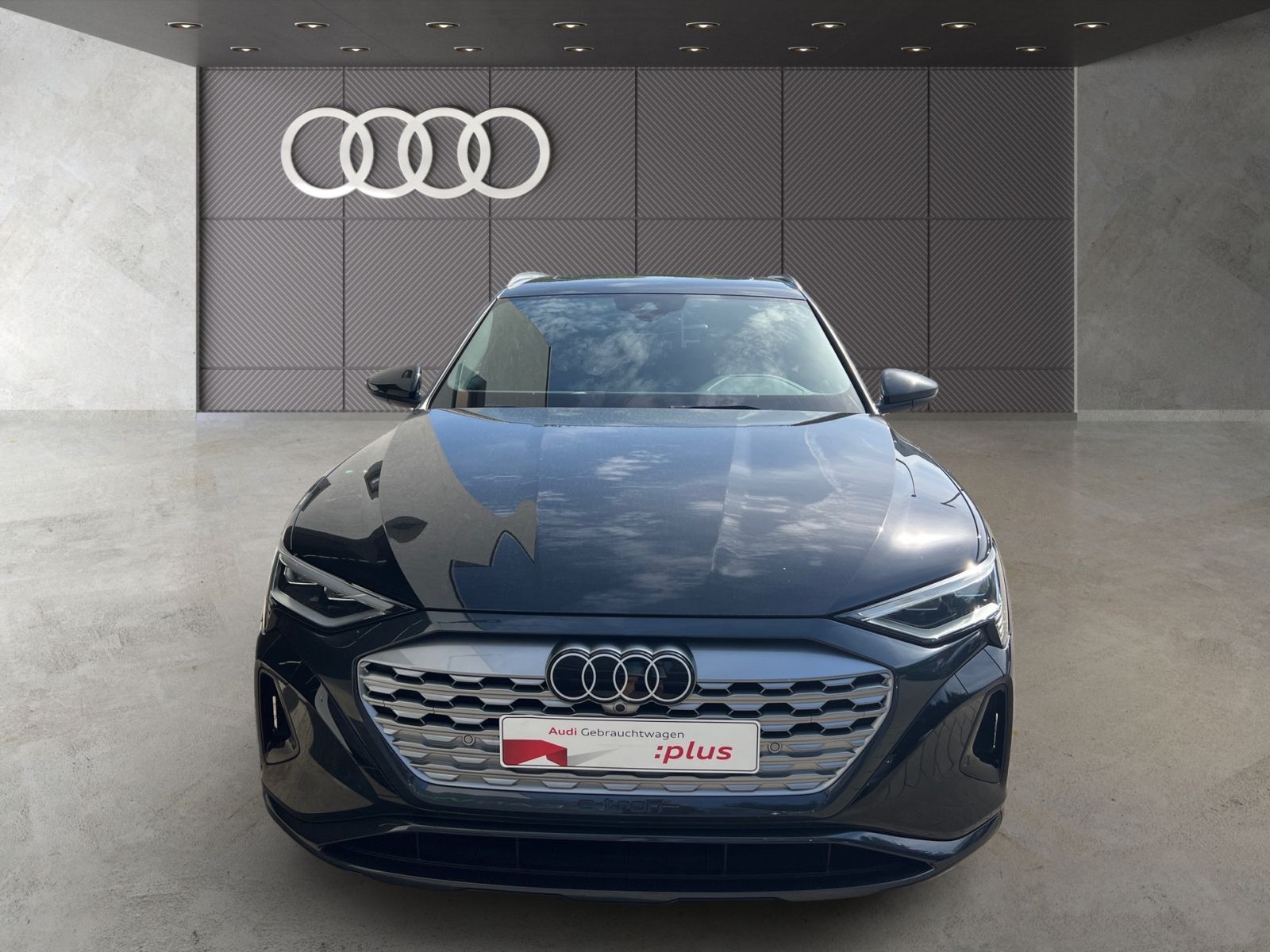 Audi Q8 e-tron 55 quattro Advanced Navi Pano Matrix-L foto 2