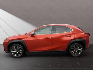 Lexus UX - 2
