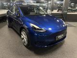 Tesla Model Y Standart - blaue Tesla Model Y