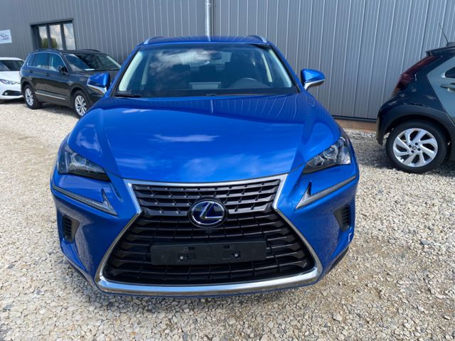 Lexus NX 300