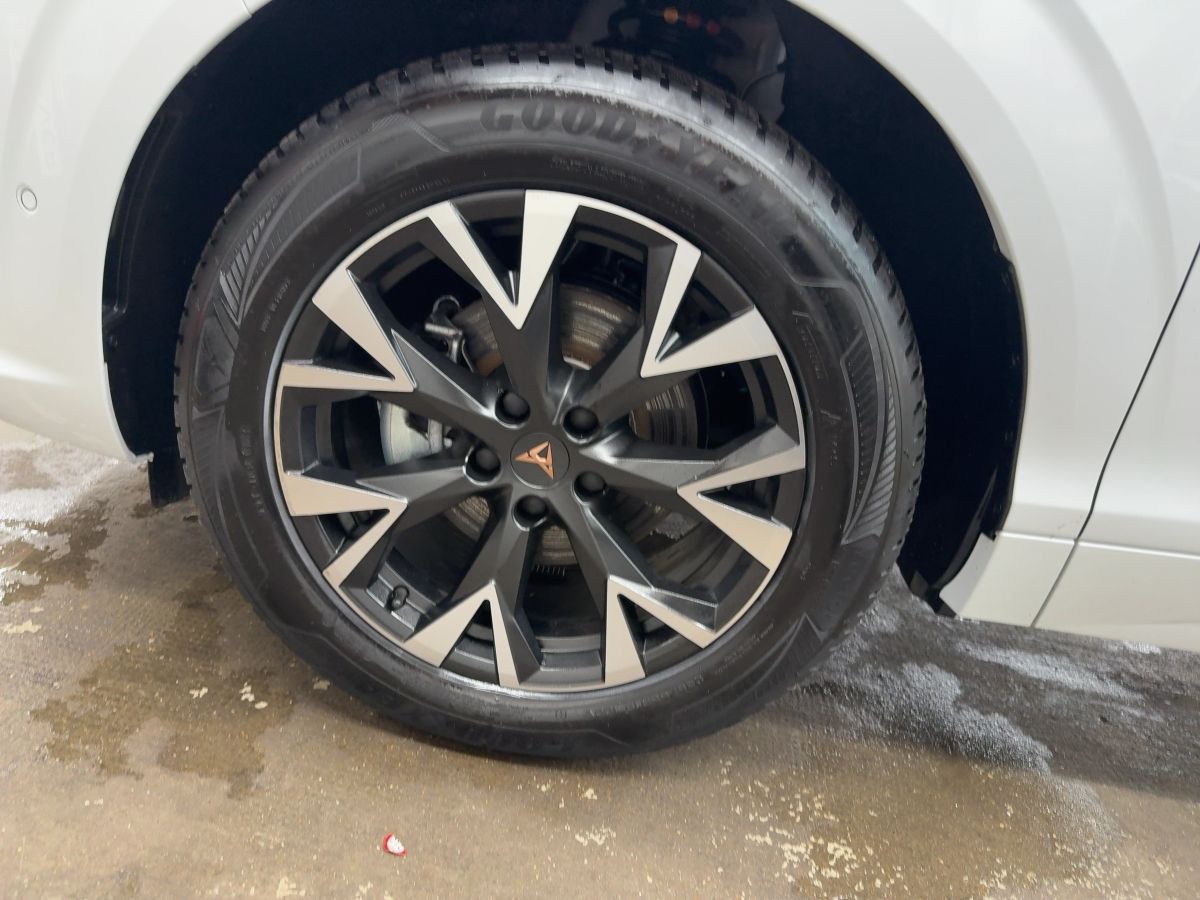 Cupra Terramar - Bild 12