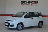 Fiat Panda Stadtheld mit Stil  | Klima | 5-Türig - Fiat Panda aus 2019