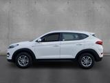 Hyundai Tucson 1.6 GDI Soko Navi Klima PDC SHZ RKam CarP - Hyundai Gebrauchtwagen in Münster