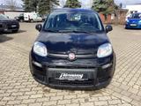 Fiat Panda 1.0 GSE Hybrid - gebrauchte Fiat Panda aus dem Jahr 2022