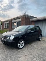 Volkswagen Vw Polo  1.2 Benzin 60ps  Felgen 15 Zoll - Volkswagen Polo: Ps 60