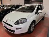 Fiat FIAT Punto 1.2 8V 3 porte Lounge - Fiat Punto: Lounge