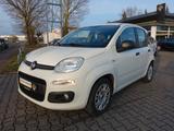 Fiat Panda 1,2 Easy City Life Klima Bluetooth - Fiat Panda Gebrauchtwagen in Dortmund