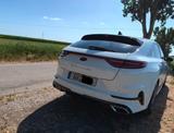 Kia ProCeed GT  204 PS 1.6 T-GDI DCT PANO VOLLAUST - Kia pro cee'd / ProCeed von privat