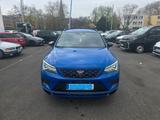 Cupra Ateca 2.0 TSI 221kW 4Drive DSG - - blaue Cupra Ateca