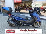 Honda FORZA 350 NSS350 1.Hand TOP Zustand! Service NEU - HONDA 350