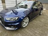 Audi RS4 2.9 TFSI tiptronic quattro Avant - - Audi RS4 von privat
