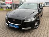 Jaguar XF 3.0 D Prestige*PANO*LEDER*GR.NAVI*BI.XEN*VOL* - Jaguar XF in Frankfurt (Main)