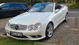 Mercedes-Benz CLK 200 KOMPRESSOR Grand Edition Grand Edition - Mercedes-Benz CLK 200: Cabrio, Kompressor