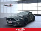 Ford Mustang GT 5.0 Convertible Automatik Xenon Leder - Ford Mustang Gebrauchtwagen