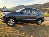 Mercedes-Benz GLE 250 d 4MATIC - - Mercedes-Benz GLE 250 Gebrauchtwagen