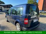 Volkswagen Caddy /Kombi Roncalli Trendline - VW Caddy in Kiel
