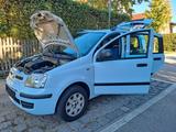 Fiat Panda 1.2 8V Dynamic Orig 97`tkm 1.Hd Tüv Neu! - Fiat Panda Gebrauchtwagen in München