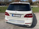 Mercedes-Benz ML 350 BlueTEC 4MATIC - - Mercedes-Benz ML 350 Gebrauchtwagen in Stuttgart