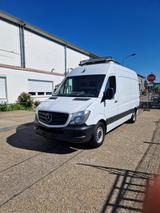 Mercedes-Benz Sprinter Kühlwagen - : Kühlwagen