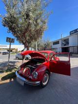 Volkswagen VW Käfer 1984 - Volkswagen: Sportwagen, Kaefer